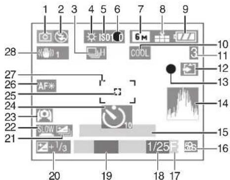 LEICA C-LUX 1 - Screen Display - 1