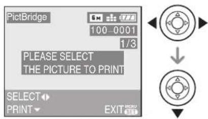 LEICA C-LUX 1 - Press ◀/▶ to select the picture and then press ▼. - 1