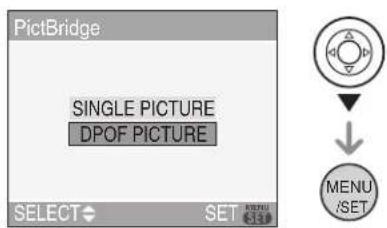 LEICA C-LUX 1 - 1Press ▼ to select [DPOF PICTURE] and then press [MENU/SET]. - 1