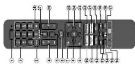 DAEWOO 43DM53UA - Rückseite des TV-Gerätes - 2
