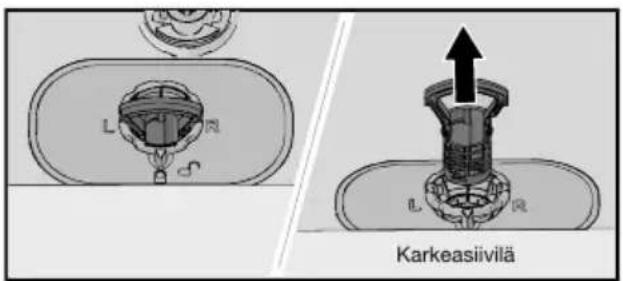 L R Karkeasiivilä