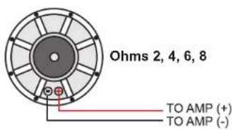 Ohms 2, 4, 6, 8 TO AMP (+) TO AMP (-)