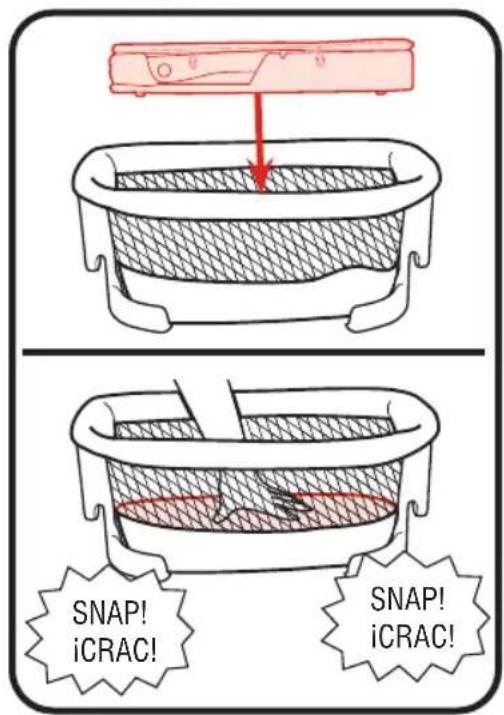 SNAP! iCRAC! SNAP! iCRAC!