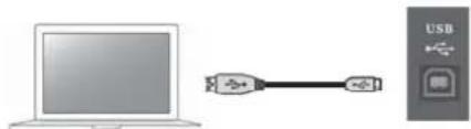BOSS Nextone Stage - USB port - 1