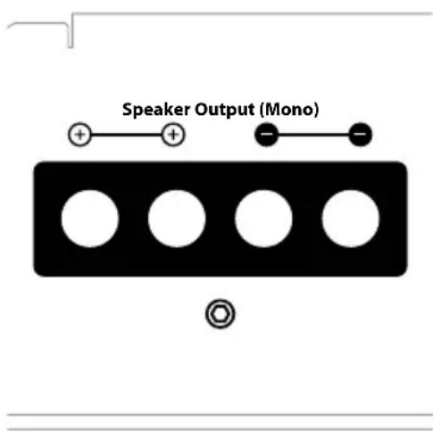 Speaker Output (Mono)