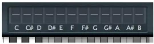 C C# D D# E F F# G G# A A# B