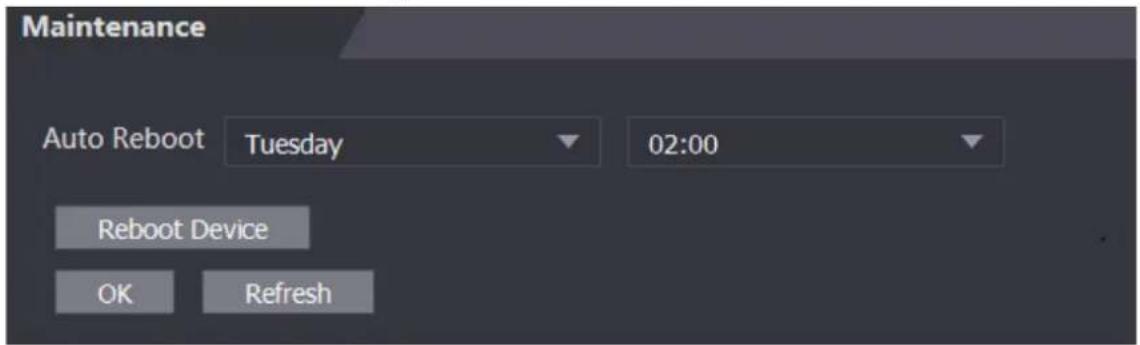 Maintenance Auto Reboot Tuesday 02:00 Reboot Device OK Refresh