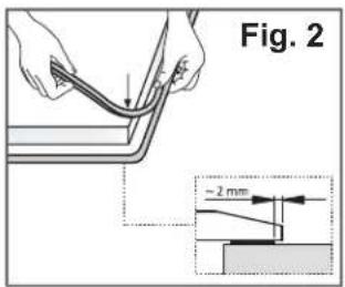 Fig. 2 ~2 mm