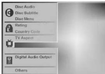 Disc Audio Disc Subtitle Disc Menu Rating Country Code TV Aspect Digital Audio Output Others