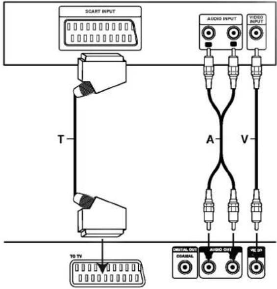 SCART INPUT T 10 TV AUDIO INPUT VIDEO INPUT A V DIGITAL OUT CARDIAL AUDIO OUT VE SI