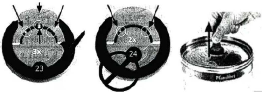 3x 23 24 2x Punahini