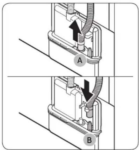 A B