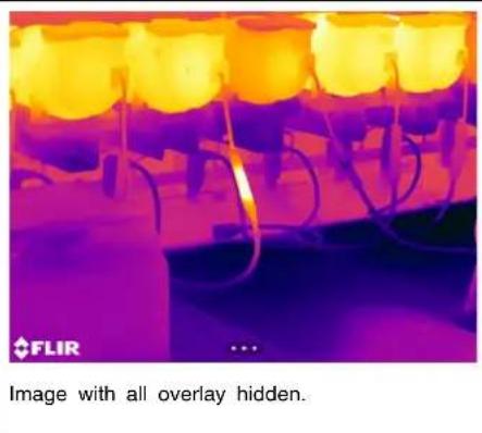 FLIR E85 - Hiding all overlay - 2