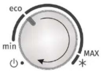 eco min MAX *