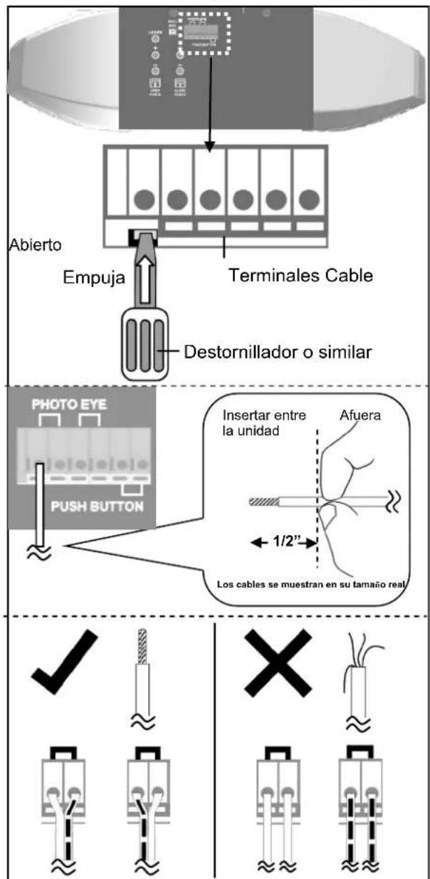 Craftsman 57953 - ADVERTENCIA - 3