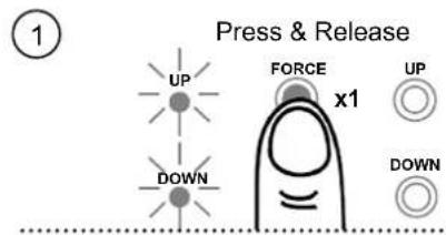 Press & Release UP FORCE x1 UP DOWN DOWN