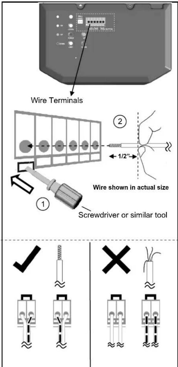 Wire Terminals ① ② 1/2" Wire shown in actual size Screwdriver or similar tool