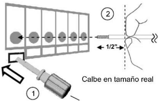 ① ② 1/2" Calbe en tamaño real