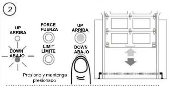 UP ARRIBA FORCE FUERZA LIMIT LÍMITE UP ARRIBA DOWN ABAJO Presione y mantenga presionado