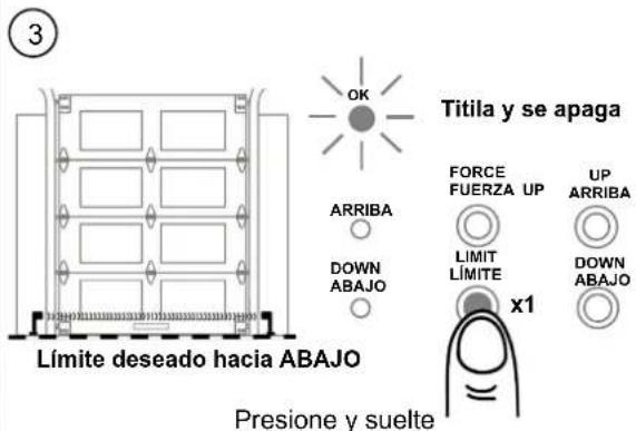 3 Límite deseado hacia ABAJO Presione y suelte OK ARRIBA DOWN ABAJO Titila y se apaga FORCE FUERZA UP UP ARRIBA LIMIT LÍMITE DOWN ABAJO x1