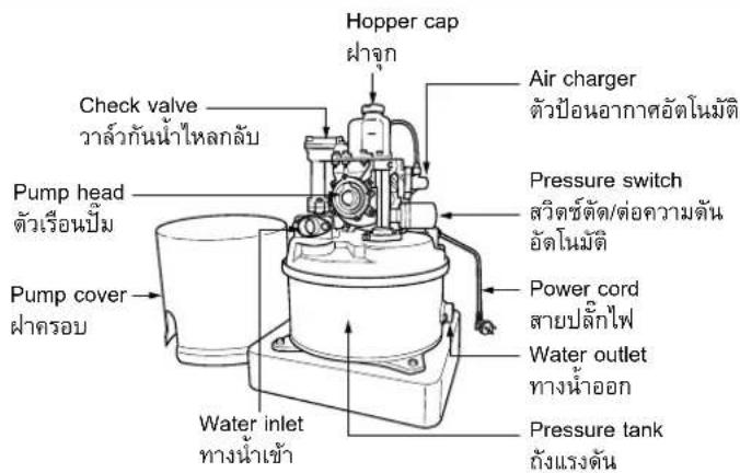 Hopper cap ### Check valve วะล์วกันน้ําไหลกลับ Pump head ตัวเรือนปิ่ม Pump cover ผ่าครอบ Water inlet ทางน้ําเช้า Air charger ตัวป้อนอากาศอัตโนมัติ Pressure switch สวิตช์ตัด/ต่อความต้น อัดโนมัติ Power cord สายปลีกไฟ Water outlet ทางน้ําออก Pressure tank ถังแรงดัน