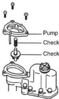 Pump Check Check