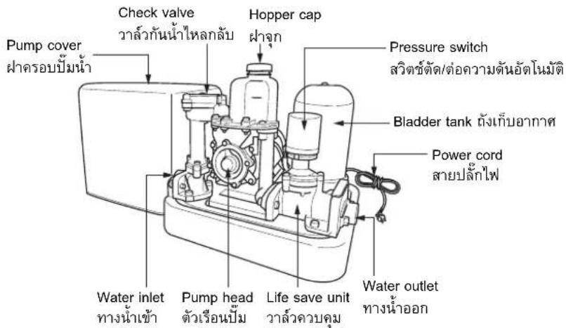 Check valve ววล์วกันน้ําไหลกลับ Hopper cap ผ่าลูก Pressure switch สวัตช์ตัด/ต่อความต้นอัตโนมัติ Pump cover ผ่าครอบปื้มน้ํา Bladder tank ถังเก็บอากาศ Power cord สายปลักไฟ Water inlet ทางน้ําเช้า Pump head ตัวเรือนปื้ม Life save unit ววล์ควบคุม Water outlet ทางน้ําออก