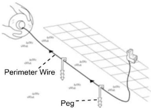Perimeter Wire Peg