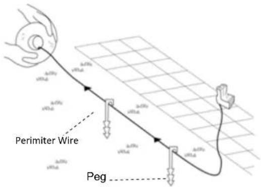 Perimiter Wire Peg