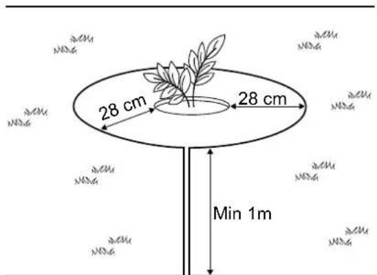 28 cm 28 cm Min 1m