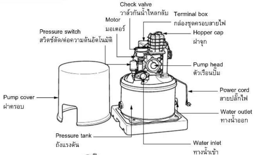 Check valve วาล์วกันน้ําไหลกลับ Motor มอเตอร์ Pressure switch สวิตร์ตัด/ต่อความดันอัตโนมัติ Pump cover ฝ่าครอบ Power cord สายปลักไฟ Water outlet ทางน้ําออก Pressure tank ถังแรงดัน Water inlet ทางน้ําเข้า Terminal box กล่องชุดครอบสายไฟ Hopper cap ฝ่าจุก Pump head ตัวเรือนปิ่ม