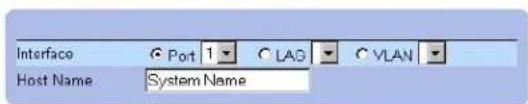 Interface Host Name Port 1 LAD VLAN System Name