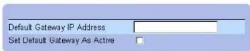 Default Gateway IP Address Set Default Gateway As Active