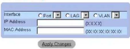 Interface IP Address MAC Address Apply Changes