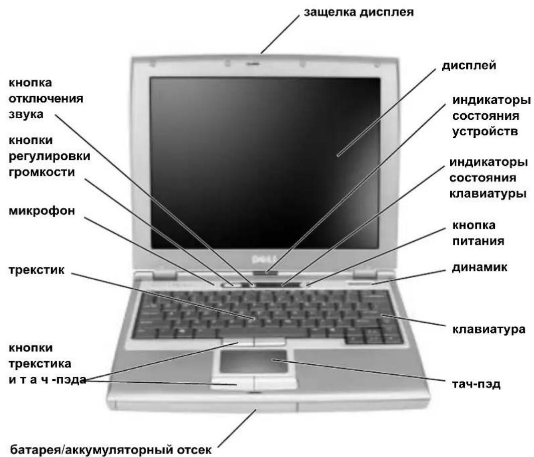 защелка дисплея дисплей индикаторы состояния устройств индикаторы состояния клавиатуры кнопка питания динамик клавиатура тач-пэд батарея/аккумуляторный отсек кнопки регулировки громкости микрофон трекстик кнопки трекстика и т а ч -пэда