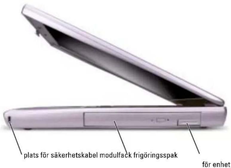 plats för säkerhetskabel modulfack frigöringsspak för enhet
