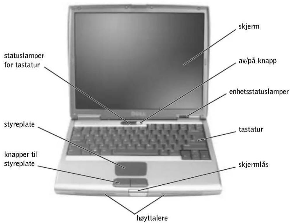 skjerm statuslamper for tastatur av/på-knapp enhetsstatuslamper styreplate tastatur knapper til styreplate skjermlås høyttalere