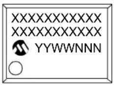 XXXXXXXXXX XXXXXXXXXX YYWWNNN