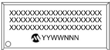 XXXXXXXXXXXXXXXXXXXX XXXXXXXXXXXXXXXXXXXX XXXXXXXXXXXXXXXXXXXX YYWWNNN