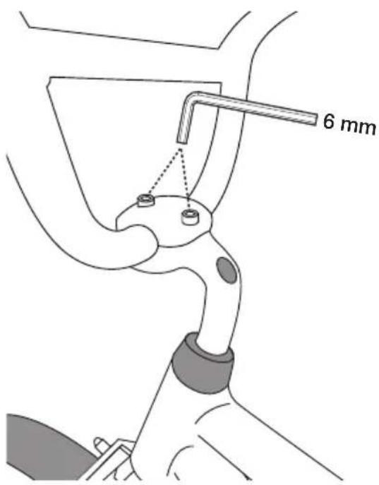 6 mm