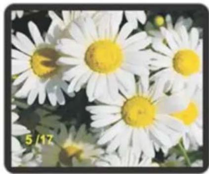 DELL 928 - Fotofremvisning som lysbilledserie - 2
