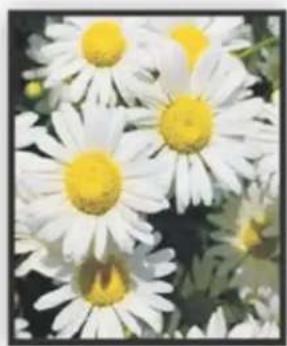 DELL 928 - Udskrivning af fotos uden ramme - 1