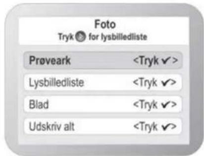Foto Tryk for lysbilledliste Prøveark Lysbilledliste Blad Udskriv alt
