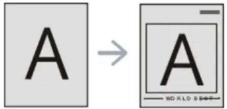 A → A — WORLD BEET