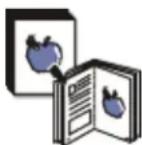 DELL 1133 - Kopiere originaler i flere formater - 1
