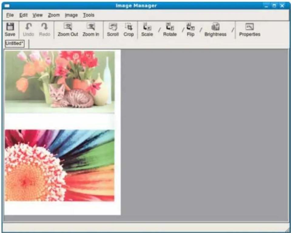 DELL 1133 - Brug af Image Manager - 1