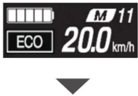 M 11 20.0 km/h ECO