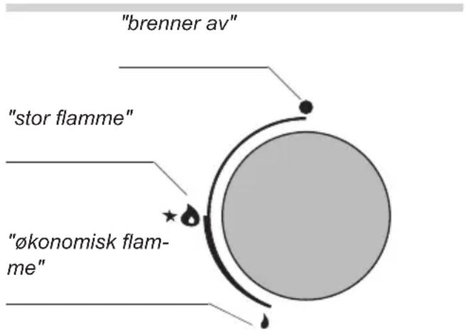 "brenner av" "stor flamme" "økonomisk flam- me"