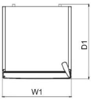 D1 W1