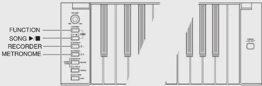 FUNCTION SONG ▶■ RECORDER METRONOME